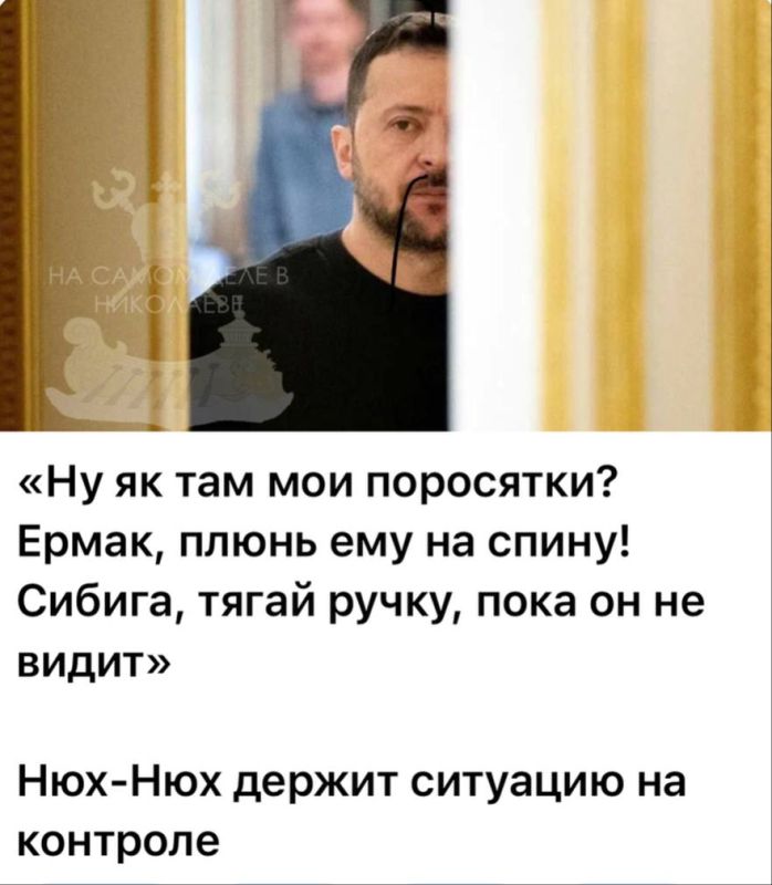 -    ,       
