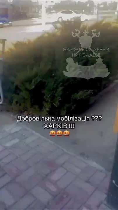      &quot;&quot; 