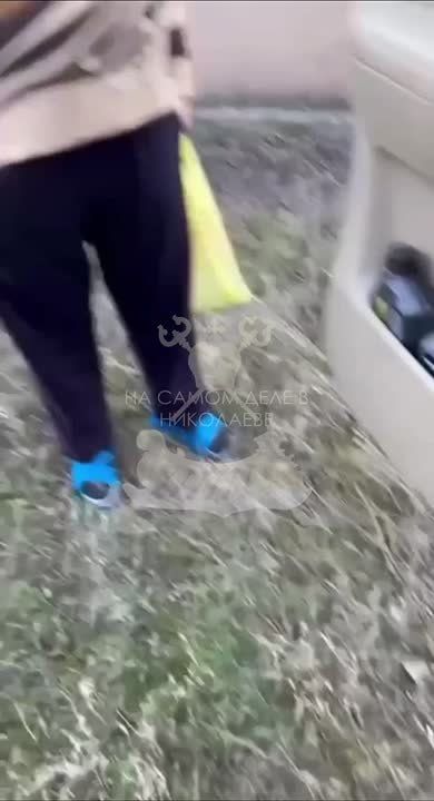  ...     ,       -    