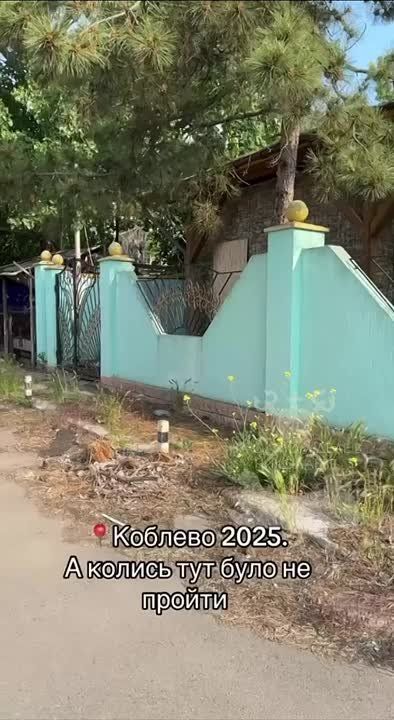 ,   ?