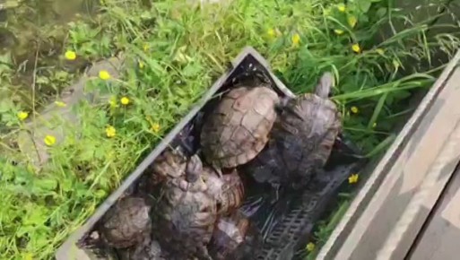  :       ,     ,            ,    5 :