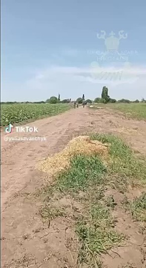 ,         &quot; &quot;
