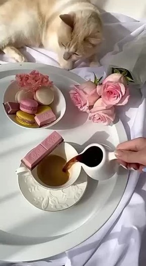  , !.      !     :