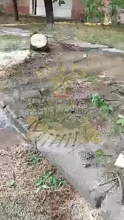    :       ,  &quot;&quot;   