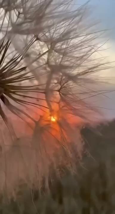    :      ,      