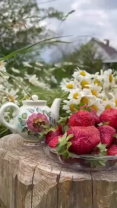  , !.      !     :