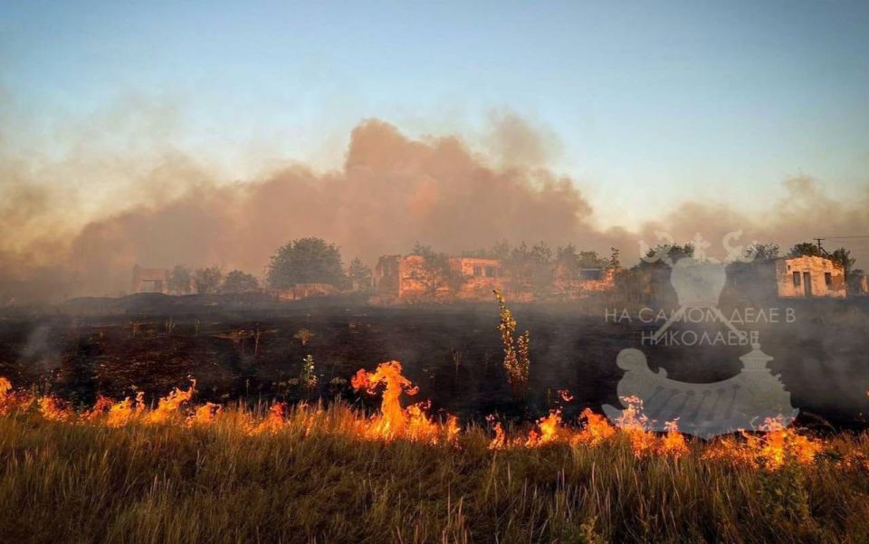 В Николаевской области бушуют крупные пожары В Николаевской области бушуют крупные пожары