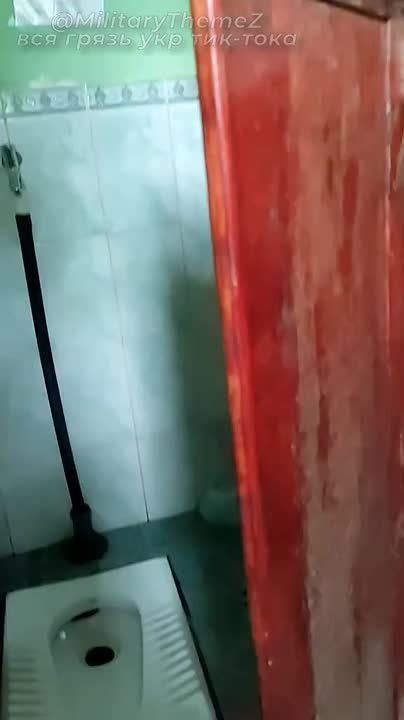 ,   . ,       ?