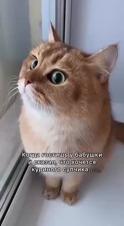  , !.      !     :