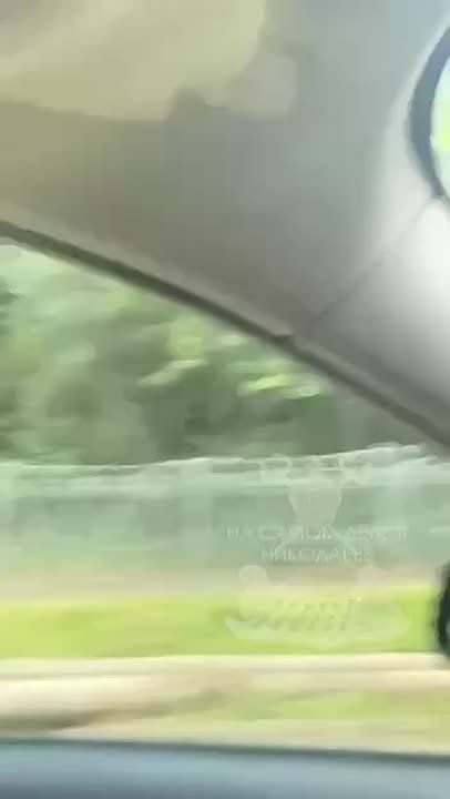   .        :   