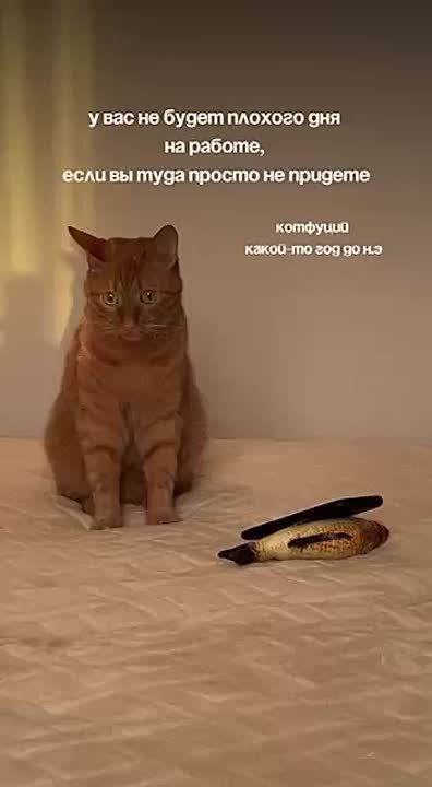  , !.      !     :