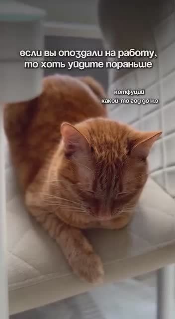  , !.      !     :