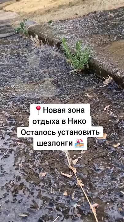 ,   ,     