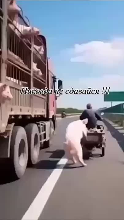  , !.      !     :
