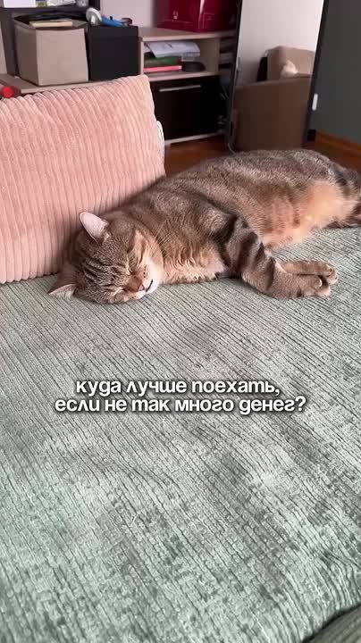  , !.      !     :