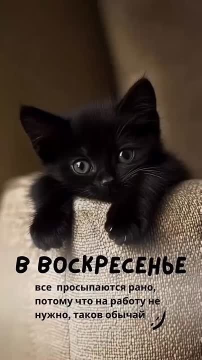  , !.      !     :