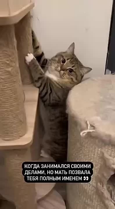  , !.      !     :