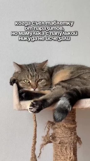  , !.      !     :