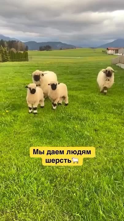 Доброе утро, друзья!. Приятного пробуждения и благополучного Вам дня! Погода в Николаеве и области: