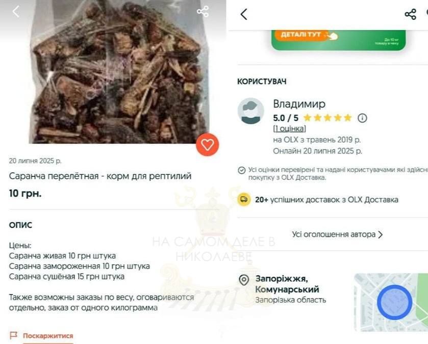 Теперь саранча — тоже ВВП. Нашествие гигантской саранчи добралось уже до Киевской области