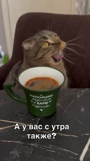  , !.      !     :