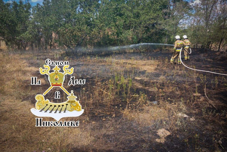 В Николаевской области зафиксировано 47 пожаров В Николаевской области зафиксировано 47 пожаров