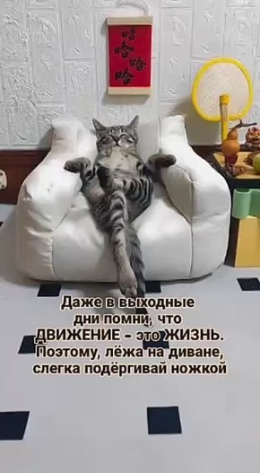  , !.      !     :