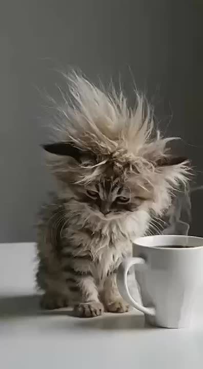 Доброе утро, друзья!. Приятного пробуждения и благополучного Вам дня! Погода в Николаеве и области: