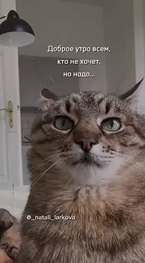  , !.      !     :