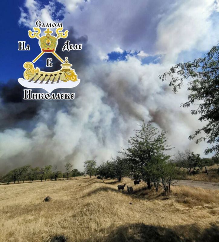 В Кривой Балке Николаевской области бушует мощный пожар, который до сих пор не удается взять под контроль и ликвидировать В Кривой Балке Николаевской области бушует мощный пожар, который до сих пор не удается взять под контроль и ликвидировать