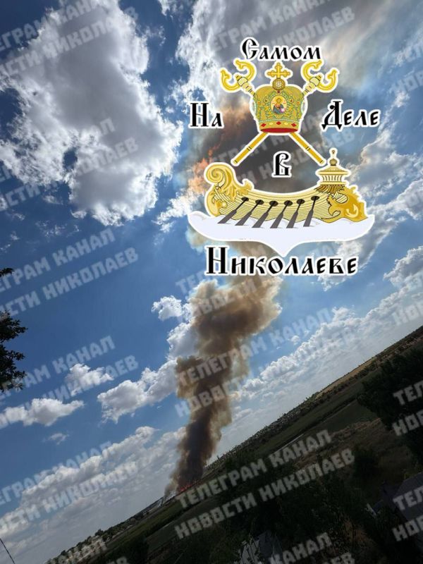 Масштабный пожар в Терновке. Горит поле. Дым виден издалека Масштабный пожар в Терновке. Горит поле. Дым виден издалека