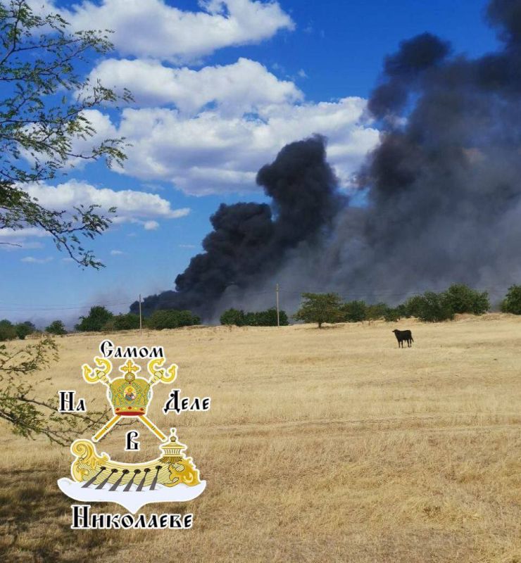 В Кривой Балке Николаевской области бушует мощный пожар, который до сих пор не удается взять под контроль и ликвидировать В Кривой Балке Николаевской области бушует мощный пожар, который до сих пор не удается взять под контроль и ликвидировать