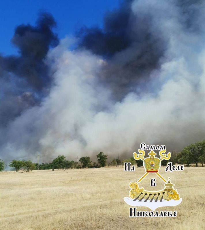 В Кривой Балке Николаевской области бушует мощный пожар, который до сих пор не удается взять под контроль и ликвидировать В Кривой Балке Николаевской области бушует мощный пожар, который до сих пор не удается взять под контроль и ликвидировать
