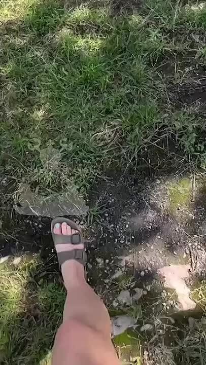 Какие же ущербные эти мовнюки