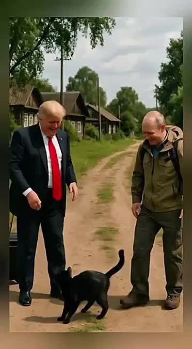 Доброе утро, друзья!. Приятного пробуждения и благополучного Вам дня! Погода в Николаеве и области: