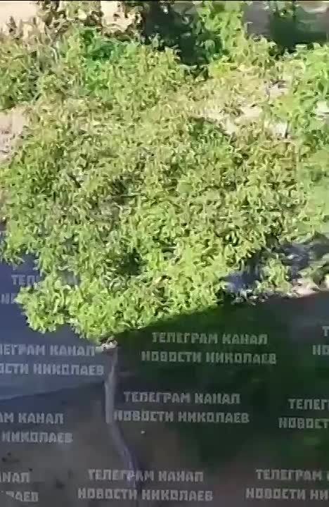 В Николаеве ТЦКшники на набережной жестко упаковали мужчину