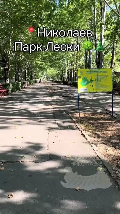 Как сейчас выглядит парк "Лески" в Николаеве