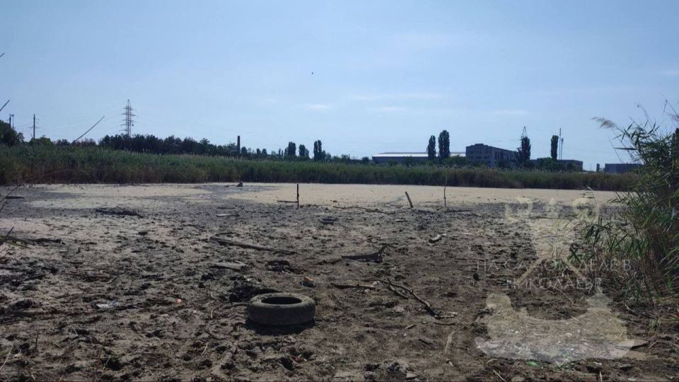 Как сейчас выглядит парк "Лески" в Николаеве Как сейчас выглядит парк "Лески" в Николаеве