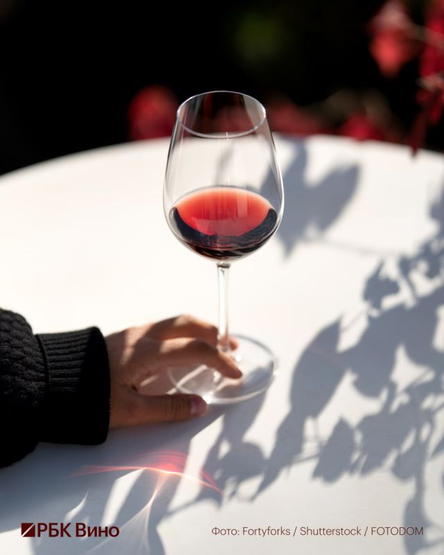 Волга как Луара, Тула как Испания: какое российское вино любят французы