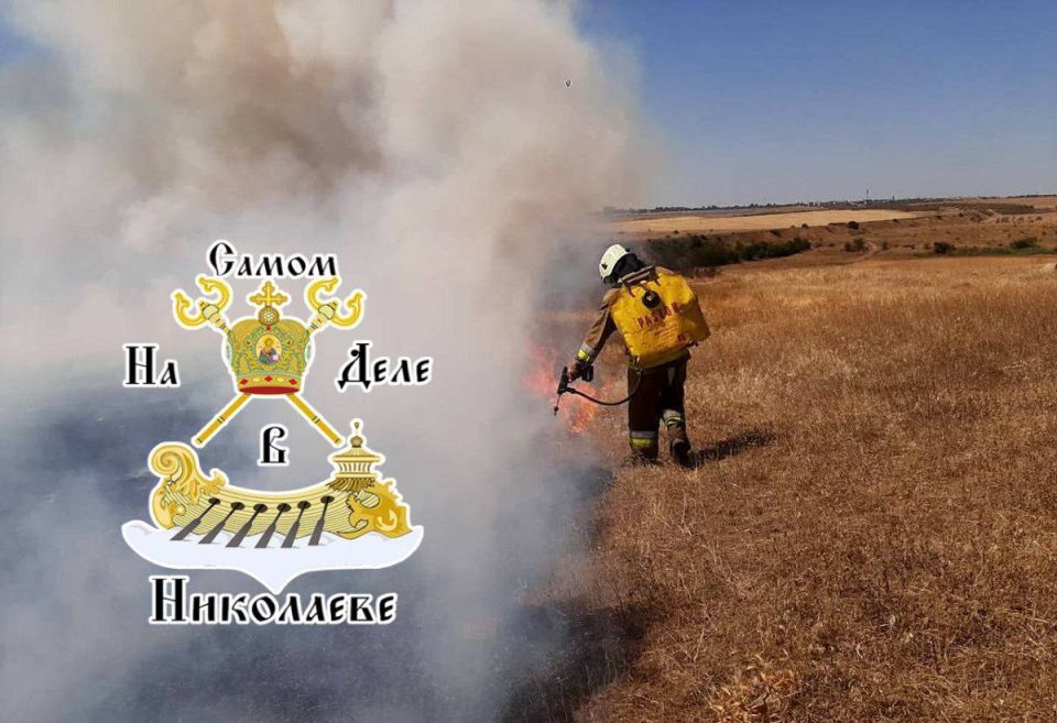 Ежедневно Николаевская область сталкивается с масштабной проблемой природных пожаров, превращающих открытые пространства в арену настоящей борьбы за выживание Ежедневно Николаевская область сталкивается с масштабной проблемой природных пожаров, превращающих открытые пространства в арену настоящей борьбы за выживание
