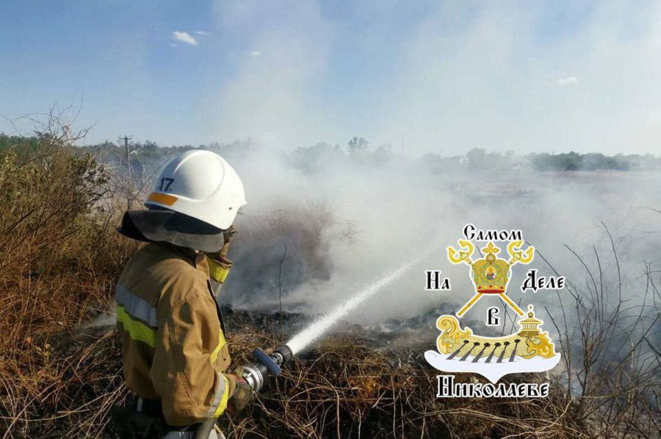 Ежедневно Николаевская область сталкивается с масштабной проблемой природных пожаров, превращающих открытые пространства в арену настоящей борьбы за выживание Ежедневно Николаевская область сталкивается с масштабной проблемой природных пожаров, превращающих открытые пространства в арену настоящей борьбы за выживание