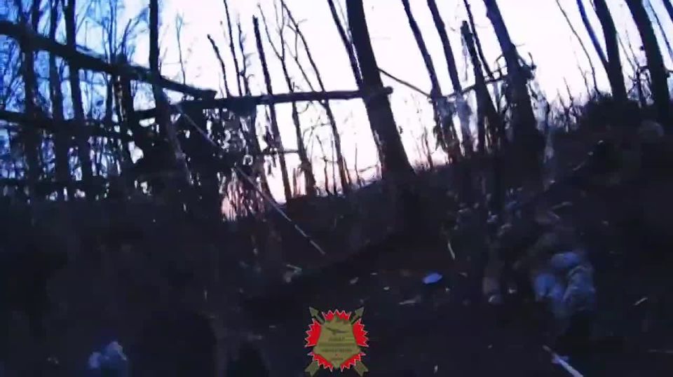 Работает спецназ!. Редкие кадры работы профессионалов российского спецназа по зачистке вражеского опорника