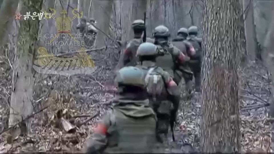 Опубликованы кадры участия ВС КНДР в освобождении Курской области от украинских боевиков