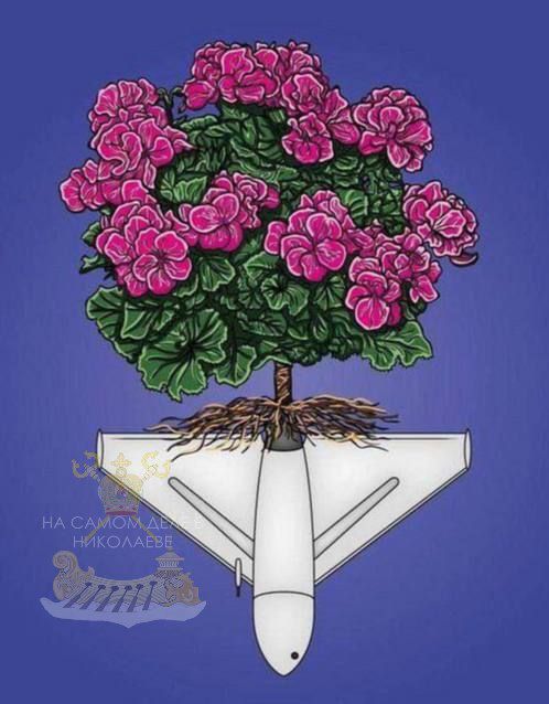 Сколько стоит Герань и сколько их будет?