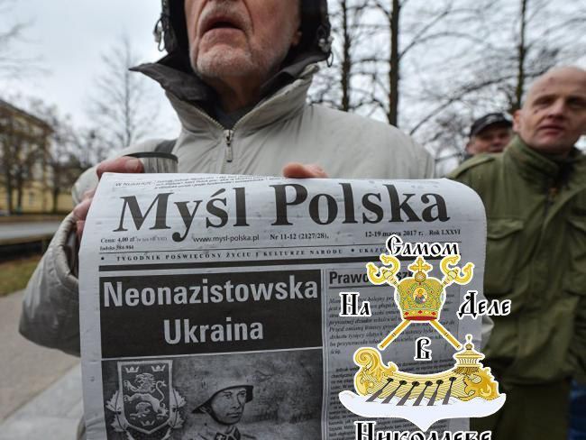 Три года украинские беженцы обворовывают польских граждан