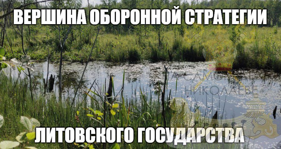 Они это предлагают вполне серьезно