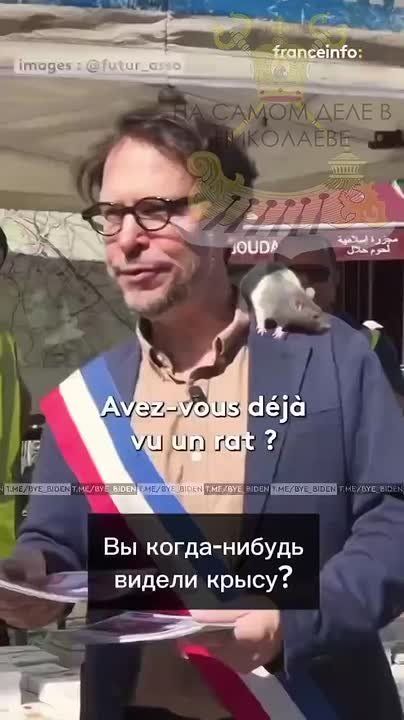 Крысы это не только ценный мех