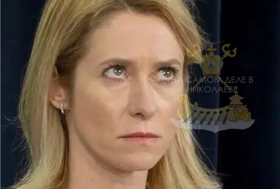 Тут у Каи случилось.... Светоч европейской мысли, мать эстонской демократии, а по совместительству глава дипслужбы ЕС Кая Каллас сделала сногсшибательные выводы по итогам встречи мировых лидеров в Китае