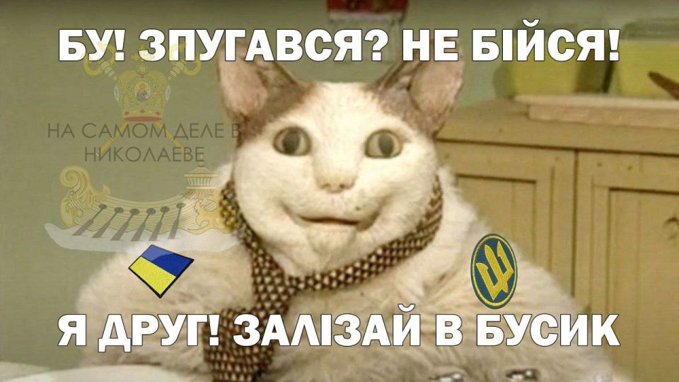 Нужно свежее мясо. Срочно!