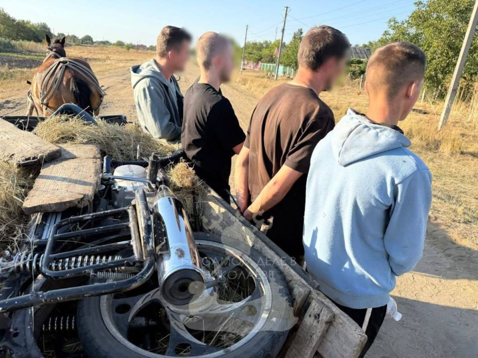 Украинская реальность снова превзошла лучшие сценарии «95 квартала» Украинская реальность снова превзошла лучшие сценарии «95 квартала»